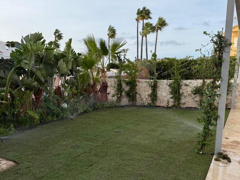 Jardín residencial con césped y palmeras
