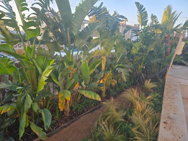 Jardín tropical exuberante
