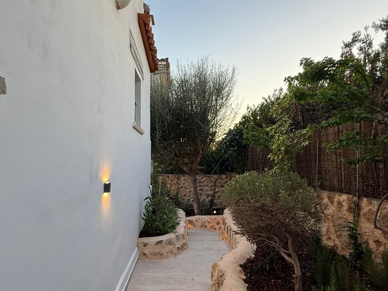 Camino de piedra con jardín al atardecer