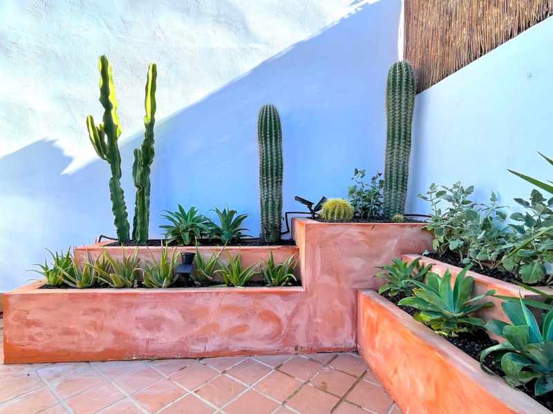 Paisajismo y diseño de jardines mediterráneos en Mallorca